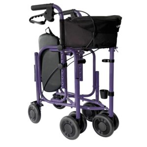 Triumph Walker