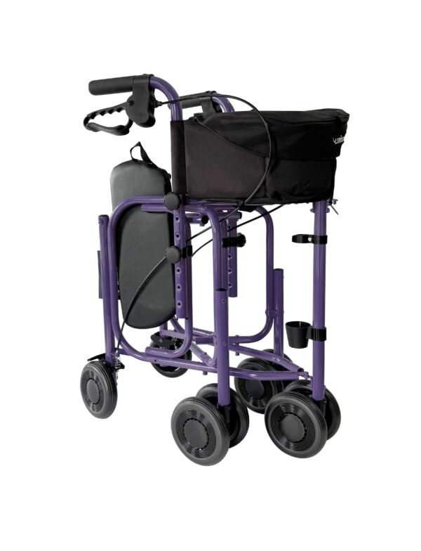 Triumph Walker